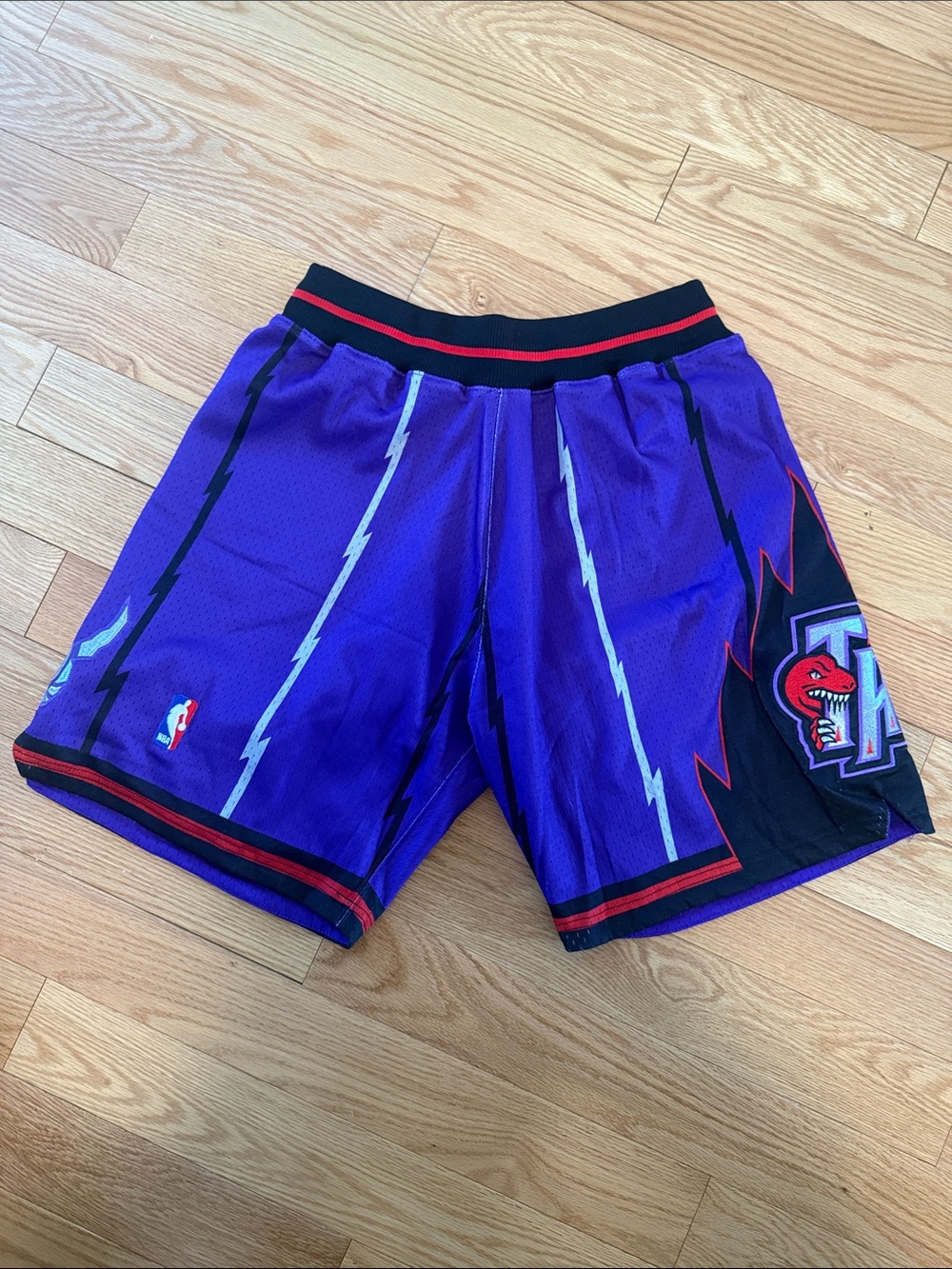Men's Purple Toronto Raptors Hardwood Classics Shorts